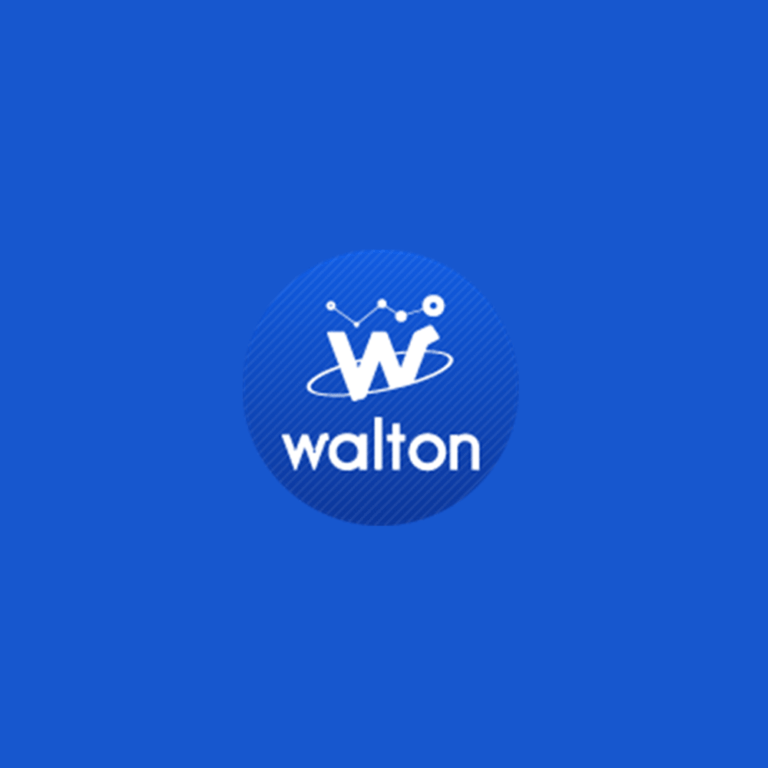 What is Cryptocurrency Walton (WTC)?