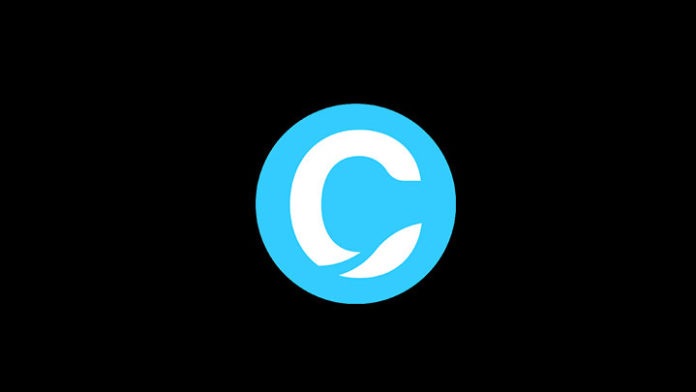 chto_takoe_kriptovalyutaa_canyacoin