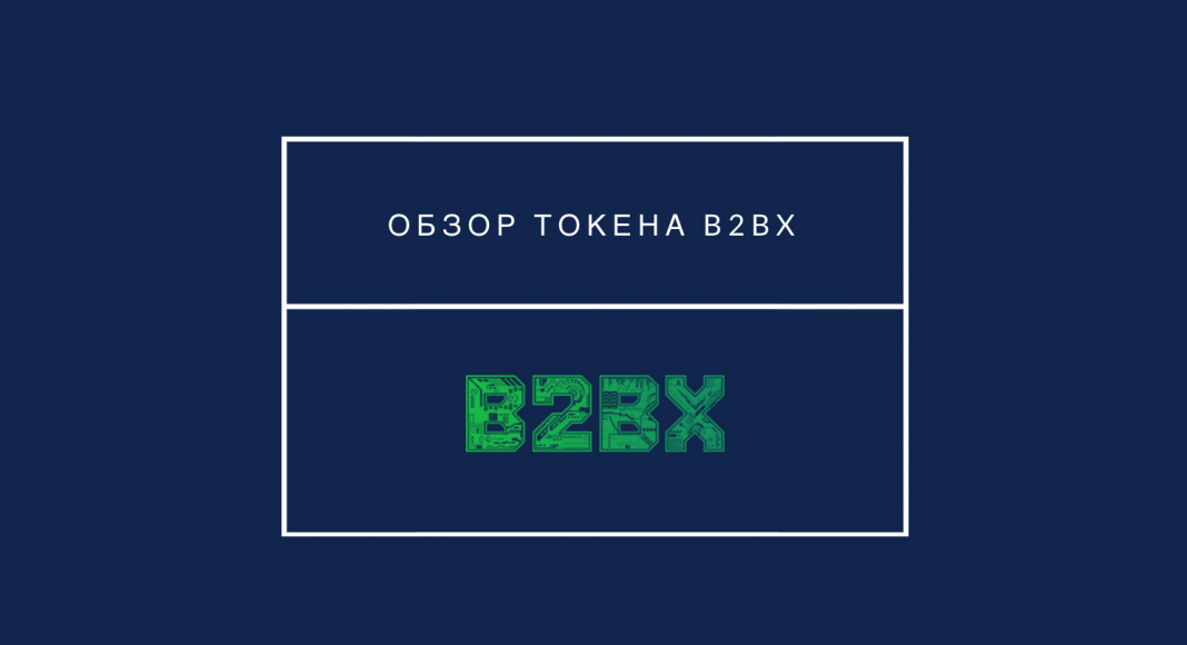 obzor-tokena-b2bx