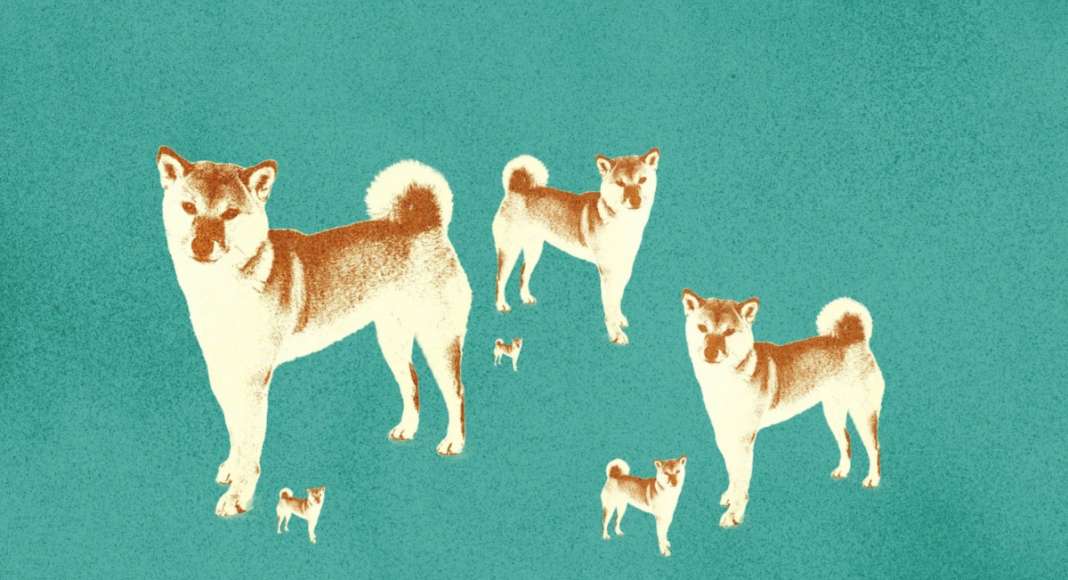 В Kraken намекнули на листинг мем-токена Shiba Inu на следующей неделе