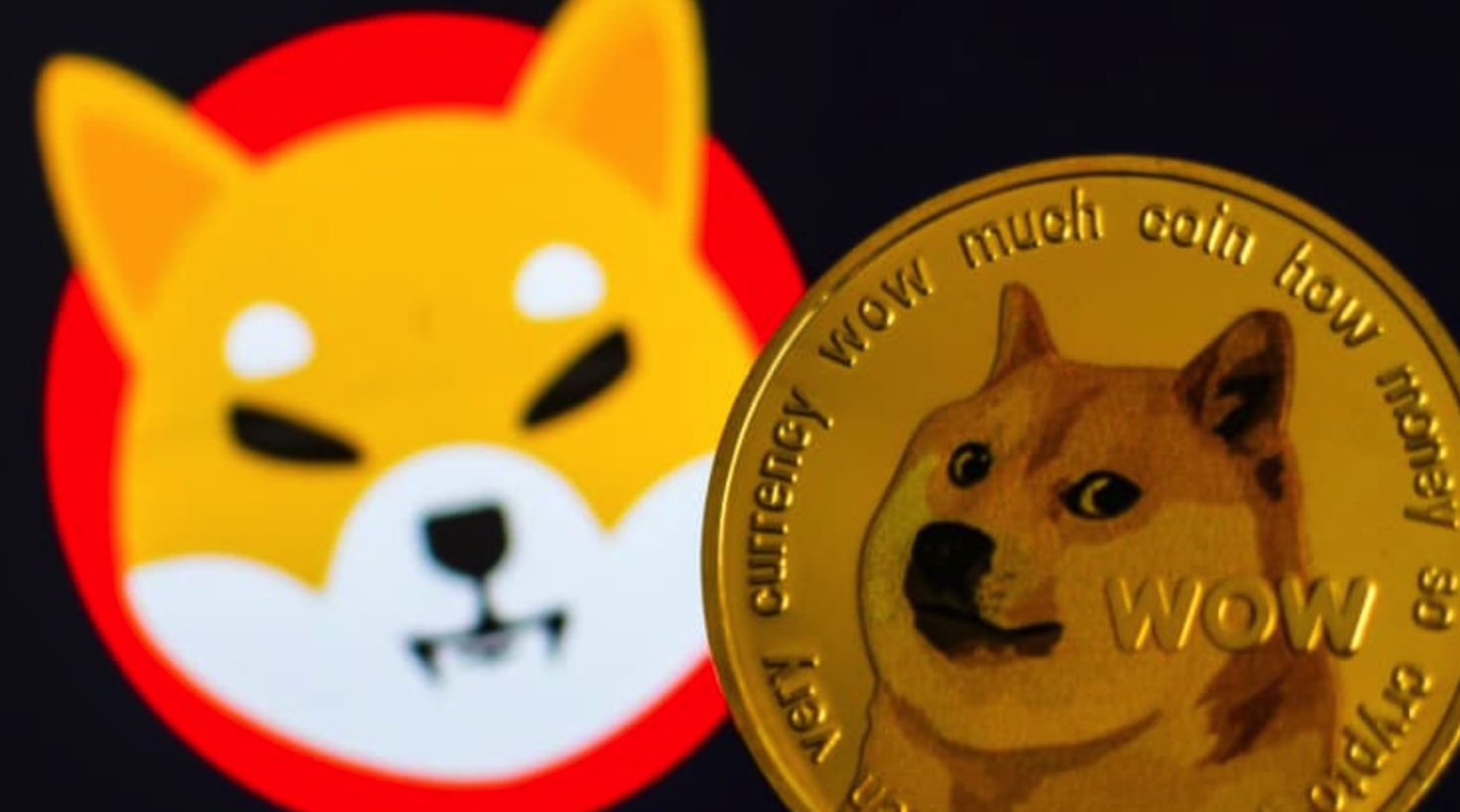 Крупная индийская криптобиржа добавила в листинг мем-токены Shiba Inu и Dogecoin