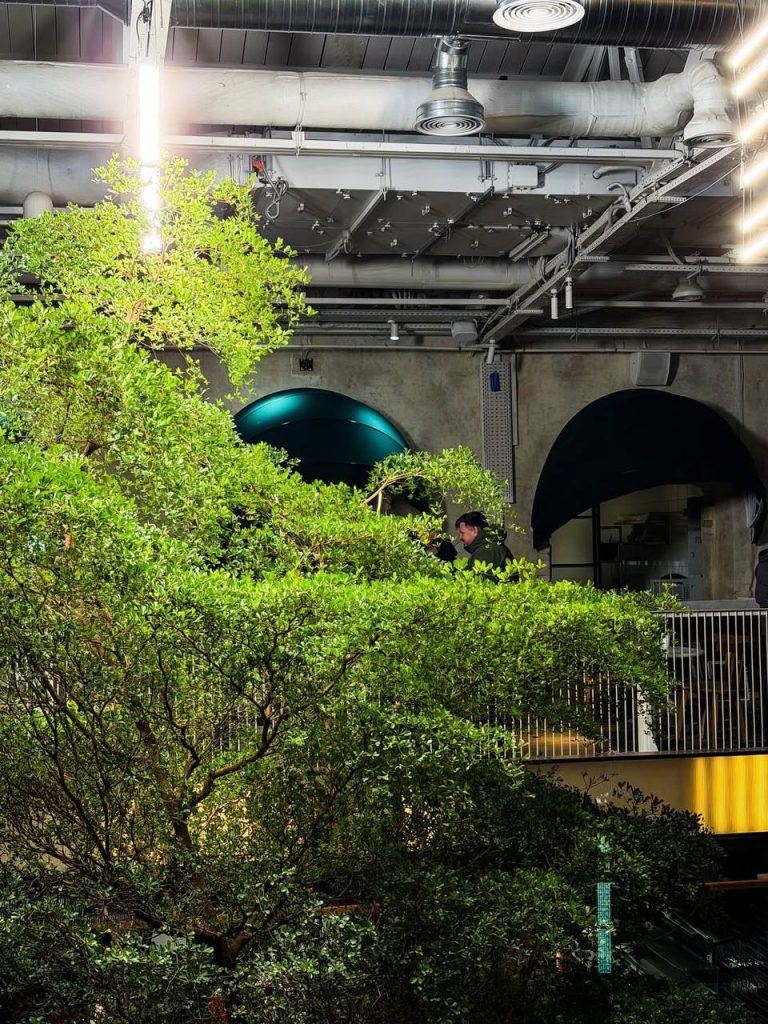 Kyiv Food Market назвал дату открытия: когда начнет работу и что изменилось после обновления