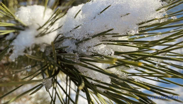 Морозы до -25 возвращаются в Украину: когда ждать резкого похолодания, прогнозы синоптиков 