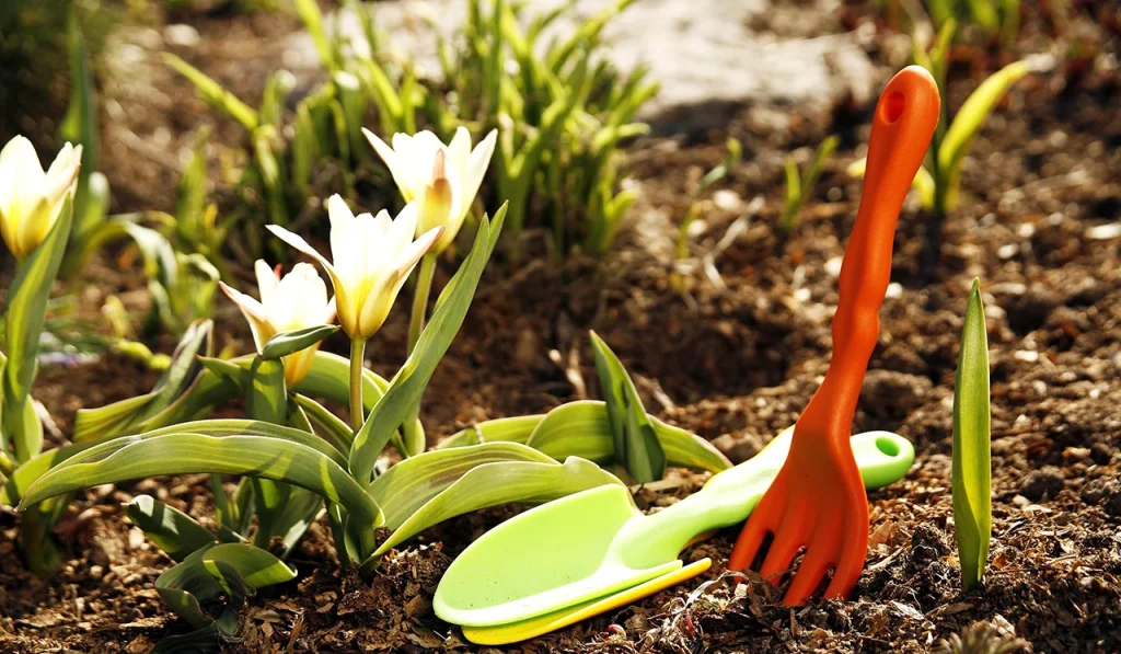 Когда сеять рассаду в марте 2026: лунный календарь, лучшие дни и советы