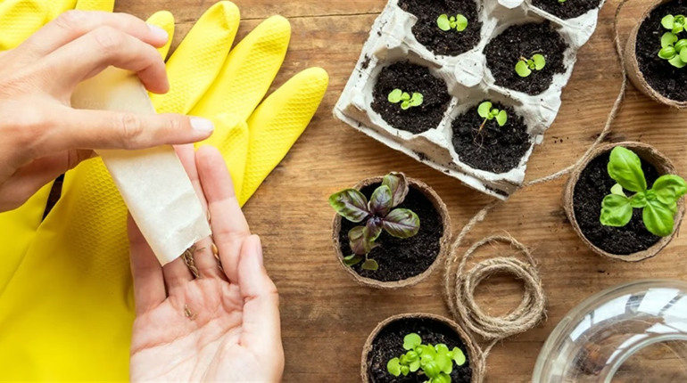 Посевной календарь на март 2026: лучшие даты, когда и что сеять